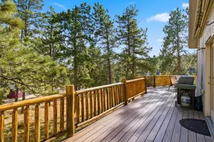 209 Pine Dr, Bailey, CO 80421 - Photo 3