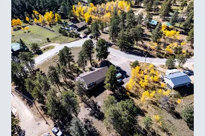 209 Pine Drive, Bailey, CO 80421 - Photo 41