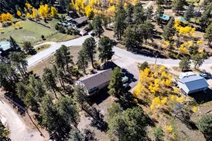 209 Pine Dr, Bailey, CO 80421 - Photo 41