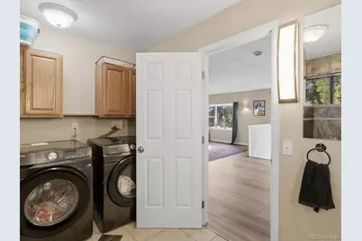 209 Pine Drive, Bailey, CO 80421 - Photo 21