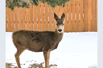 5910 Olympus Lane, Colorado City, CO 81019 - Photo 31