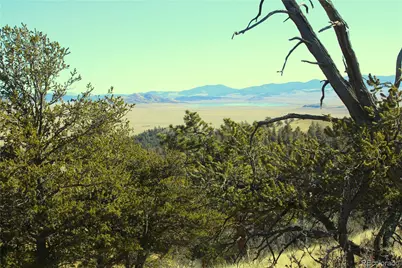 697 Summit Road, Hartsel, CO 80449 - Photo 7