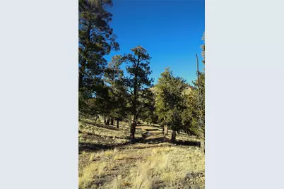 697 Summit Road, Hartsel, CO 80449 - Photo 13