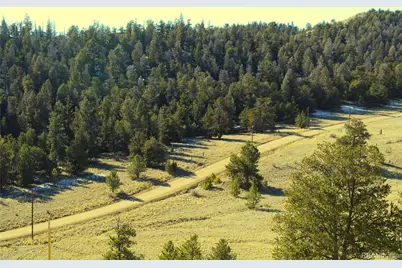 697 Summit Road, Hartsel, CO 80449 - Photo 15