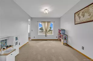 16631 Tree Haven St, Hudson, CO 80642 - Photo 9