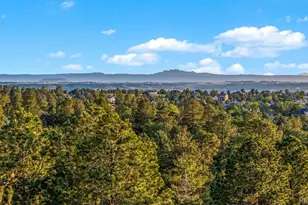 8286 Lightening View Dr, Parker, CO 80134 - Photo 43