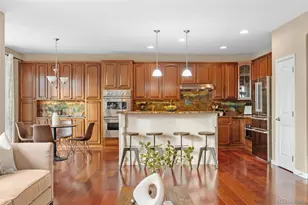 11561 S Flower Mound Way, Parker, CO 80134 - Photo 9