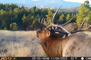 12464 S US Hwy 285, Conifer, CO 80433 - Photo 31