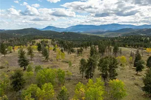 12464 S US Hwy 285, Conifer, CO 80433 - Photo 9