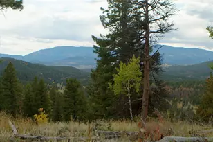 12464 S US Hwy 285, Conifer, CO 80433 - Photo 37