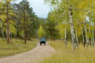 12464 S US Hwy 285, Conifer, CO 80433 - Photo 13