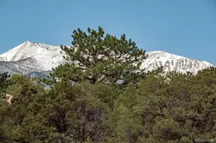 15194 Heywood Ln, Nathrop, CO 81236 - Photo 5