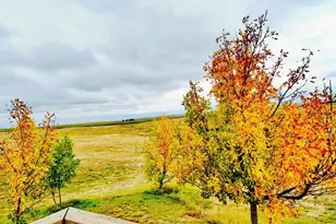 40100 Co Rd 153, Agate, CO 80101 - Photo 45