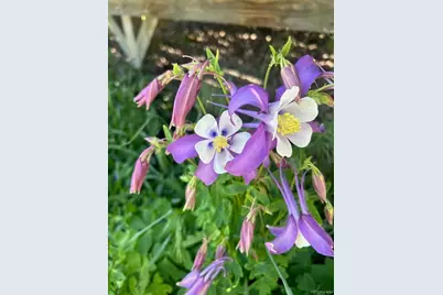 40100 County Road 153, Agate, CO 80101 - Photo 47