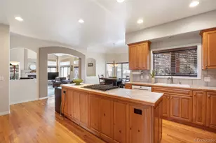 1977 Champions Cir, Castle Rock, CO 80104 - Photo 15