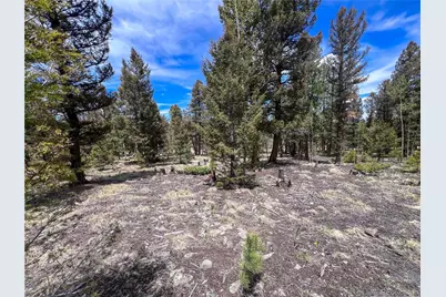 1980 Pitchfork Road, Hartsel, CO 80449 - Photo 5