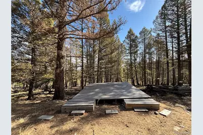 1980 Pitchfork Road, Hartsel, CO 80449 - Photo 3