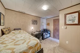 37820 Twin Kopie Dr, Buena Vista, CO 81211 - Photo 29