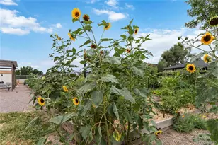 1709 S Kearney St, Denver, CO 80224 - Photo 45