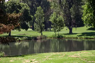 2822 S Race St, Denver, CO 80210 - Photo 29