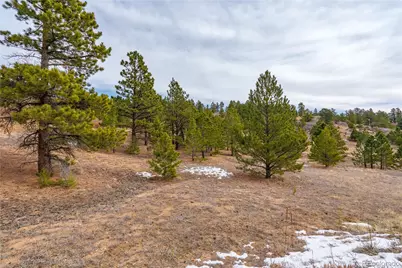 Lot 2 Spruce Mountain Road, Cotopaxi, CO 81223 - Photo 5