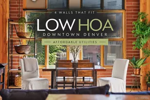 2955 Inca St, Denver, CO 80202 - Photo 1