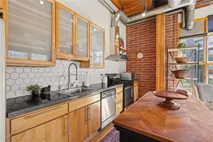 2955 Inca St, Denver, CO 80202 - Photo 3