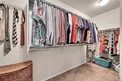 514 Coyote Willow Drive, Colorado Springs, CO 80921 - Photo 19