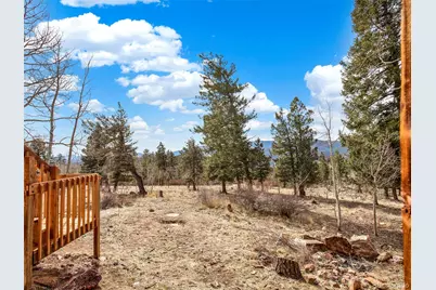 53 Deerhaven Drive, Bailey, CO 80421 - Photo 21