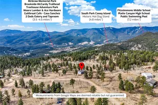 53 Deerhaven Dr, Bailey, CO 80421 - Photo 31