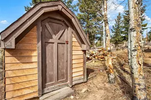 53 Deerhaven Dr, Bailey, CO 80421 - Photo 25