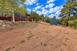 3455 Bird Point Dr, Cotopaxi, CO 81223 - Photo 19