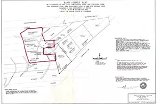 2700 Church Placer Rd, Central City, CO 80427 - Photo 37