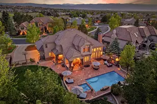 10258 Dowling Way, Highlands Ranch, CO 80126 - Photo 3