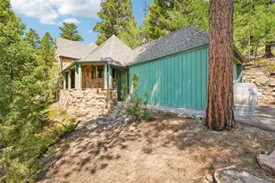 11793 Braun Way, Conifer, CO 80433 - Photo 47