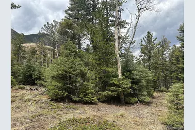 357 Big Horn, Manitou Springs, CO 80829 - Photo 7