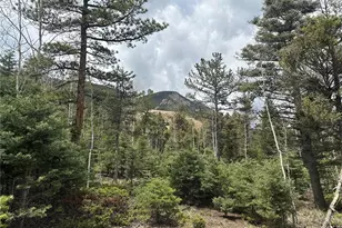 357 Big Horn, Manitou Springs, CO 80829 - Photo 1