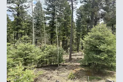 357 Big Horn, Manitou Springs, CO 80829 - Photo 11