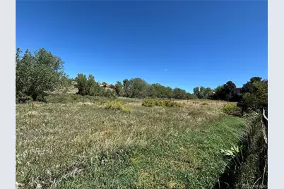 1181 Savannah Sparrow Drive, Highlands Ranch, CO 80129 - Photo 25