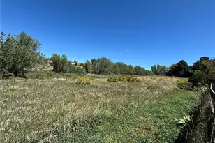 1181 Savannah Sparrow Dr, Highlands Ranch, CO 80129 - Photo 25