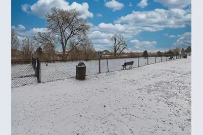 1095 Western D229 Drive, Colorado Springs, CO 80915 - Photo 49