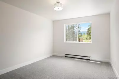 408 Stage Coach Lane, Bailey, CO 80421 - Photo 21