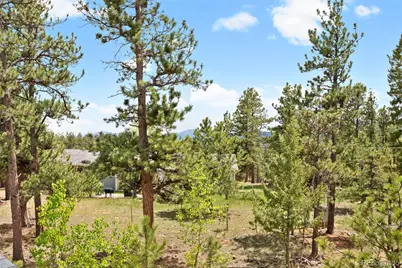 408 Stage Coach Lane, Bailey, CO 80421 - Photo 45