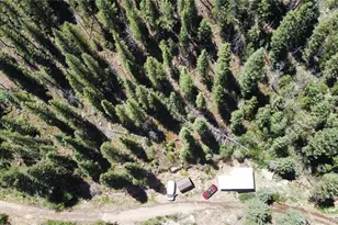 854 Old Little Bear Creek Rd, Idaho Springs, CO 80452 - Photo 29