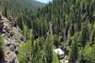 854 Old Little Bear Creek Rd, Idaho Springs, CO 80452 - Photo 25