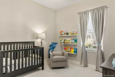 3115 Carabiner Street, Castle Rock, CO 80108 - Photo 23