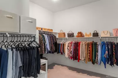 3115 Carabiner Street, Castle Rock, CO 80108 - Photo 21