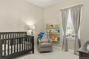 3115 Carabiner St, Castle Rock, CO 80108 - Photo 21