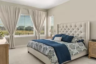 3115 Carabiner St, Castle Rock, CO 80108 - Photo 17