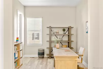 3115 Carabiner Street, Castle Rock, CO 80108 - Photo 27